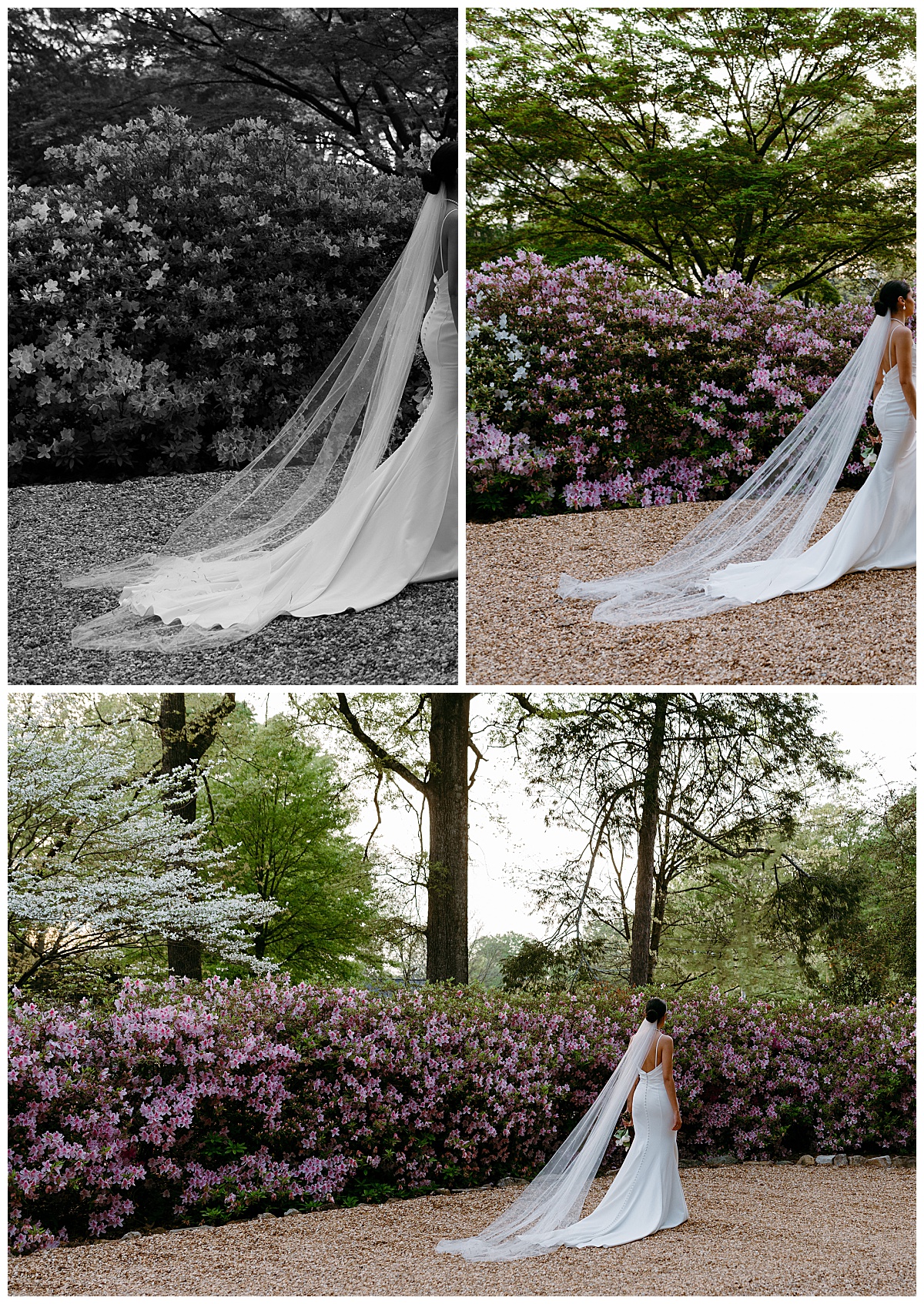 long veil trails behind woman in white gown by The Hazel Club